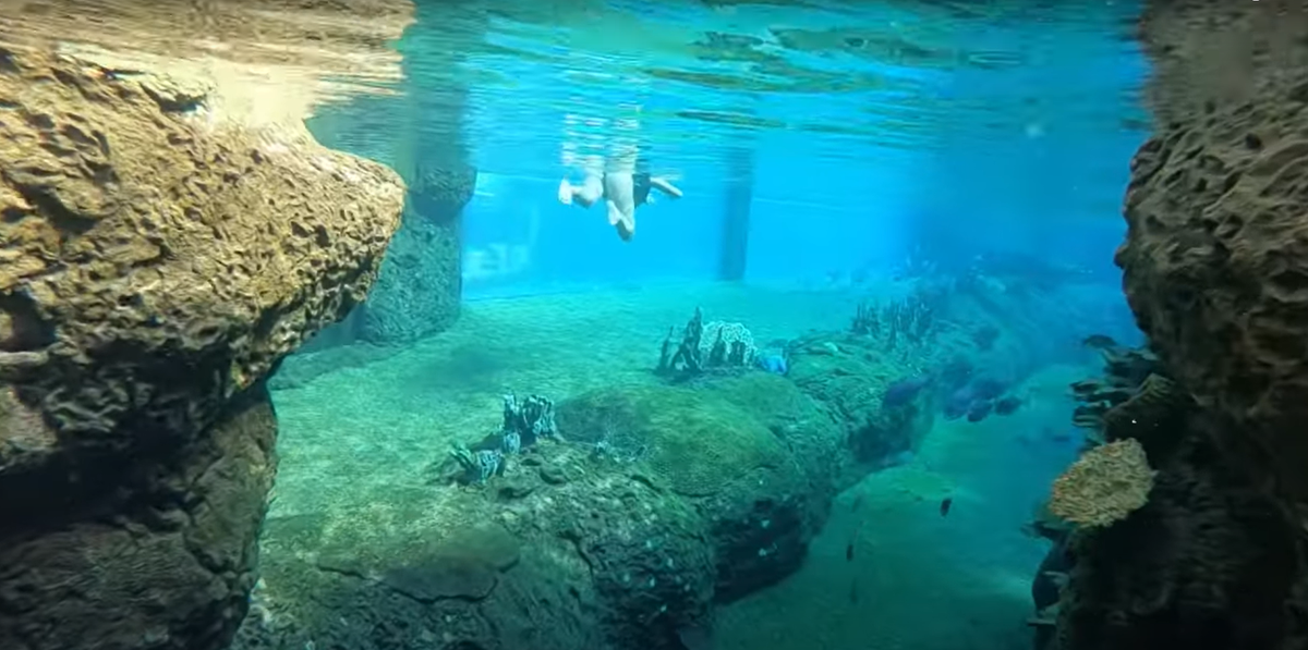 10 of the best places in the world for snorkeling - Lonely Planet Places to snorkel near me